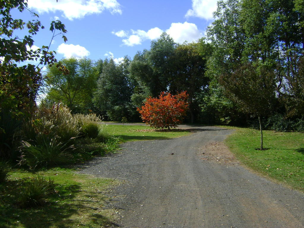 Вилла El Ranchito De Areco Сан-Антонио-де-Ареко Экстерьер фото